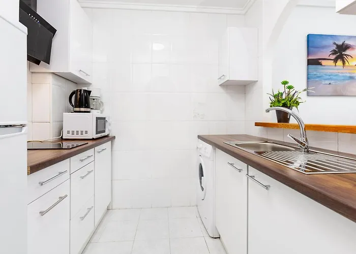 公寓 Arquitecto Larramendi 托雷维耶哈