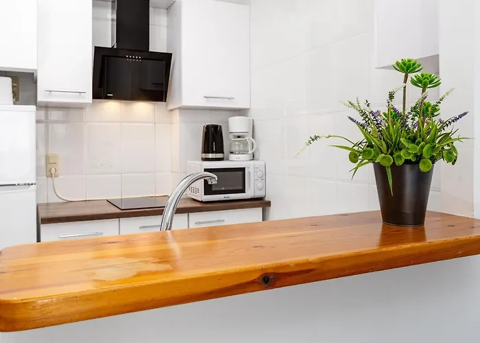 公寓 Arquitecto Larramendi 托雷维耶哈